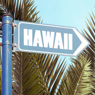 Signpost indicating direction to Hawaii, surrounded by palm leaves.